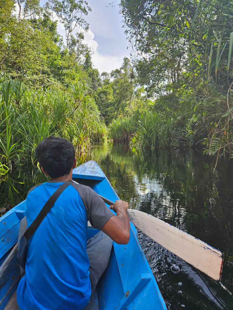 slow travel indonesian borneo klotok tanjung puting river