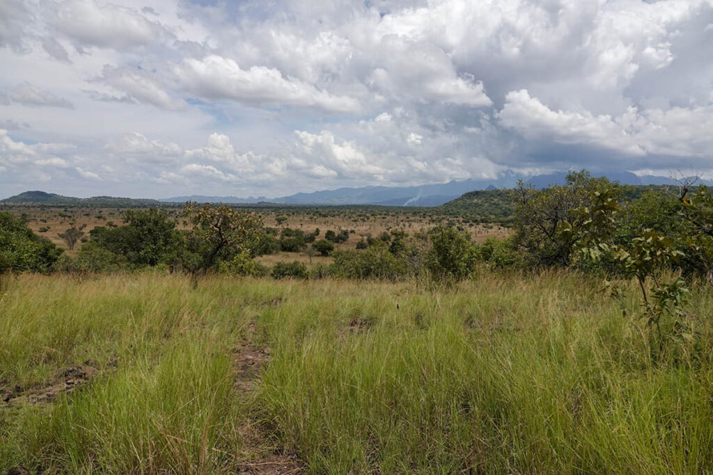 Pian Upe in Uganda as seen from inside the Wildlife Reserve