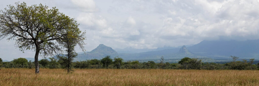 An overview of Pian Upe Wildlife Reserve in Uganda