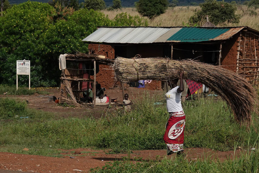 A women in Maruajore Karamoja carrying grass on her head