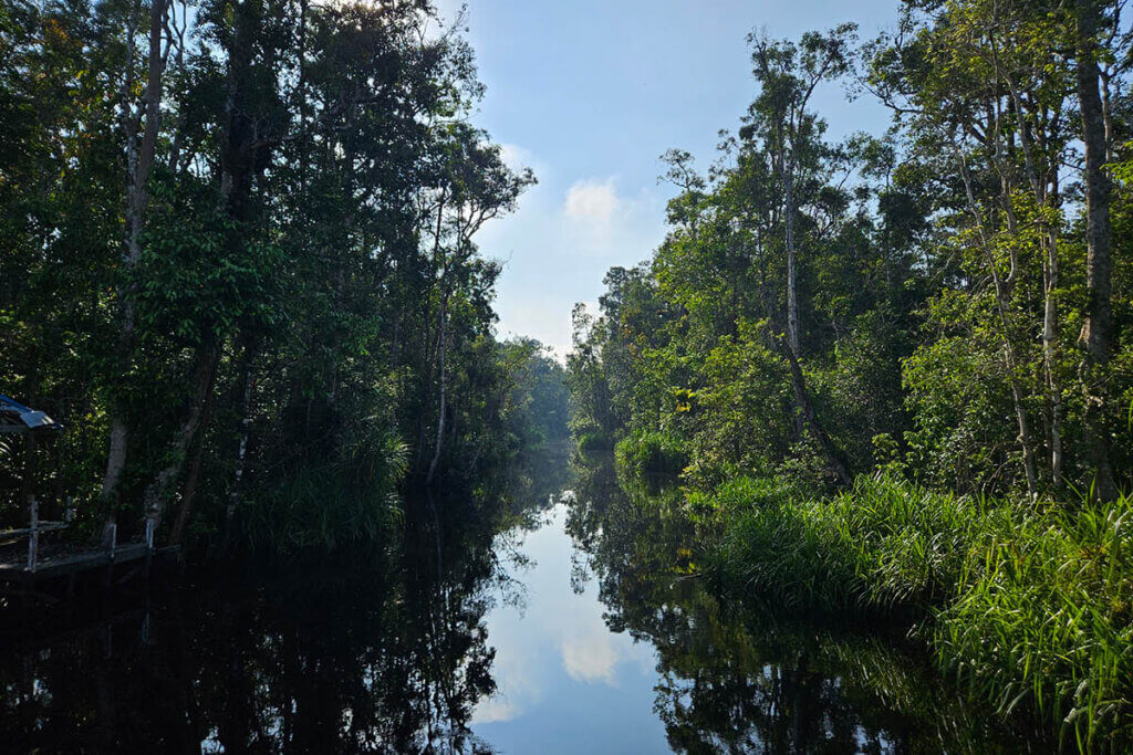 travel stories shaped by culture during slow travel in Tanjung Puting National Park Borneo rainforest river