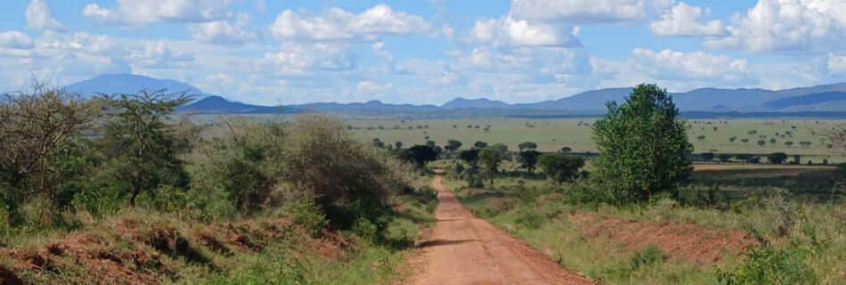 Karamoja travel questions appear before you hit the road to the area like Kidepo Valley National Park